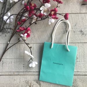 Tiffany & Co gift bag